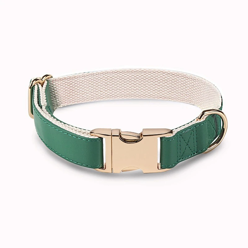dog collar with metal buckle