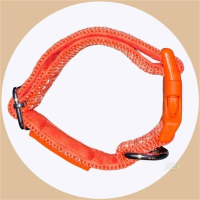 Personalized Dog Collars Reflective Nylon Collar Personalized Dog Collars Reflective Nylon Collar