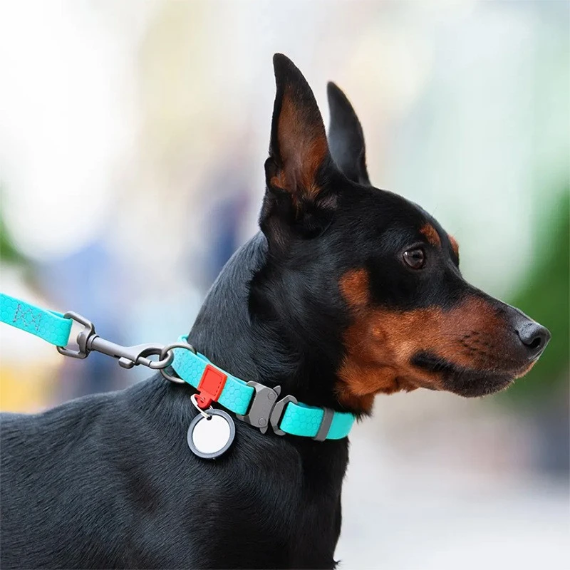 Waterproof Silicone Dog Collar best